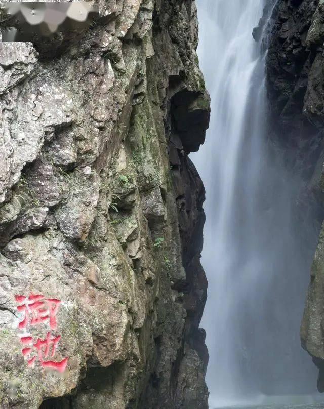 燃烧吧大脑装瓶子游戏